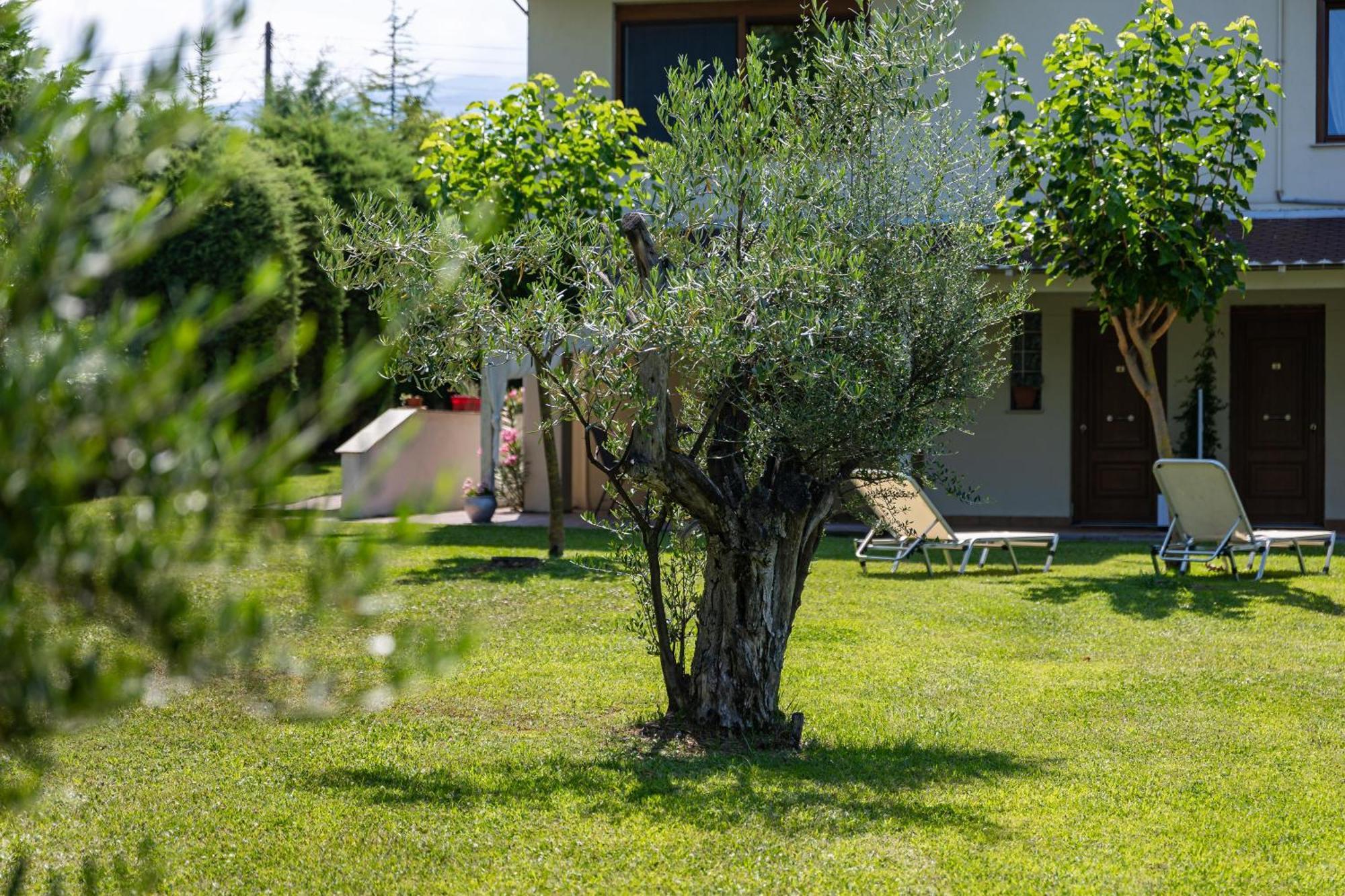 The Olympus Garden Beach House Litóchoron Eksteriør billede